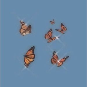 Meet your Posher, Tyla